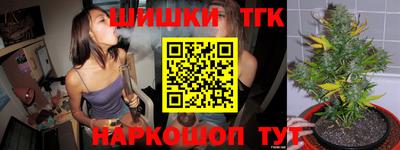 стафф Нальчик
