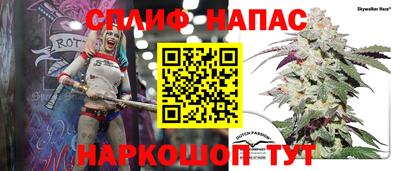 стафф Нальчик