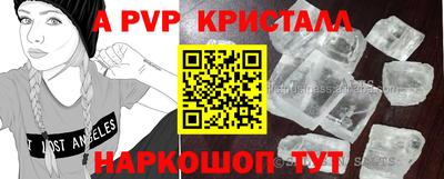 стафф Нальчик