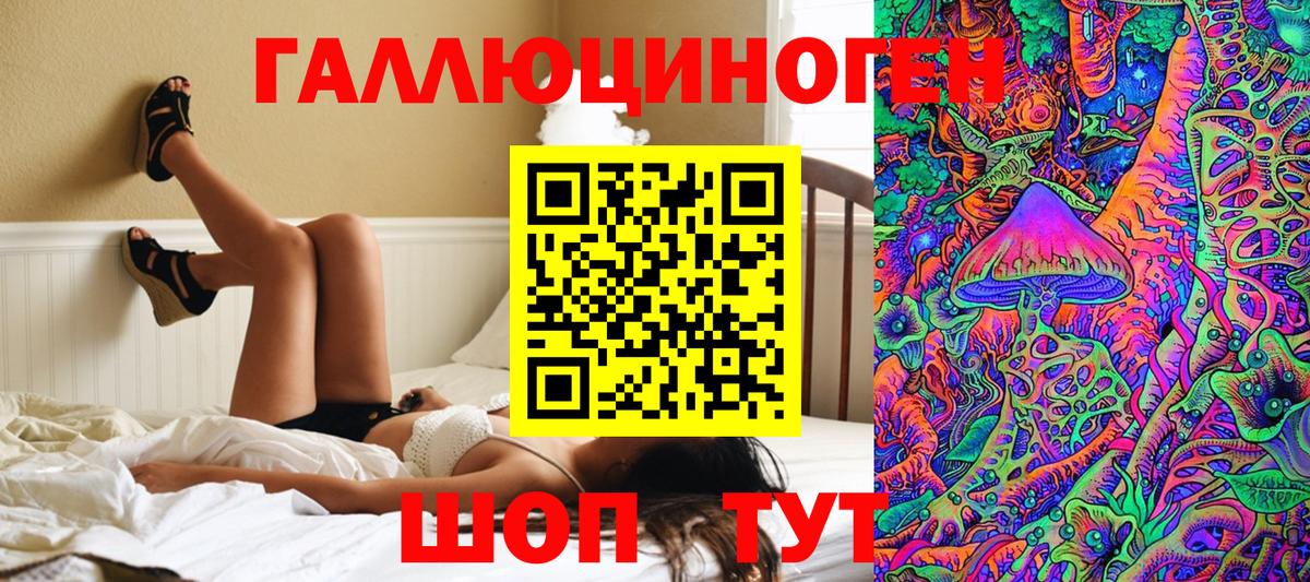 где найти наркотики  Псилоцибиновые грибы MAGIC MUSHROOMS  Вход с VPN  Элиста 