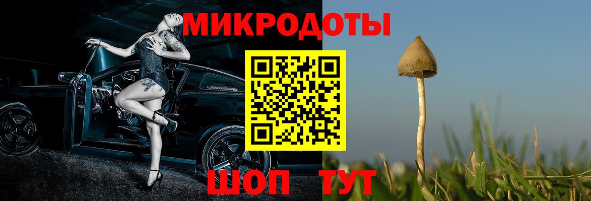 Галлюциногенные грибы прущие грибы Элиста